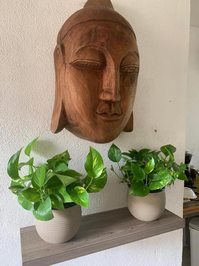Casa Candra San Francisco  Ngoại thất bức ảnh
